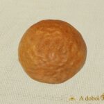 ZSEMLE 50 GR